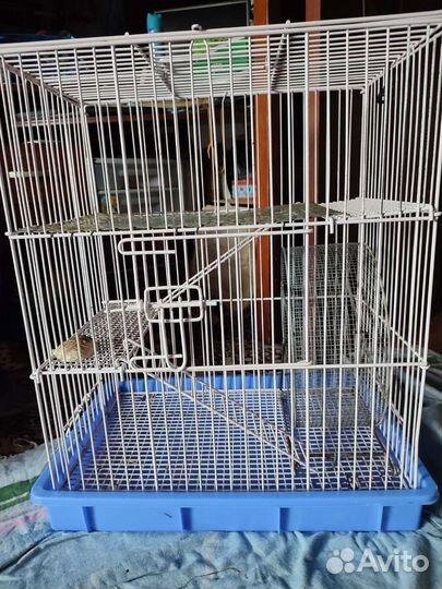 Клетка для деги или крыски