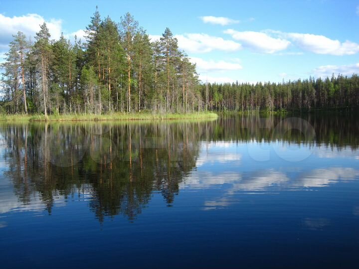 Участок 10,5 га (СНТ, ДНП)