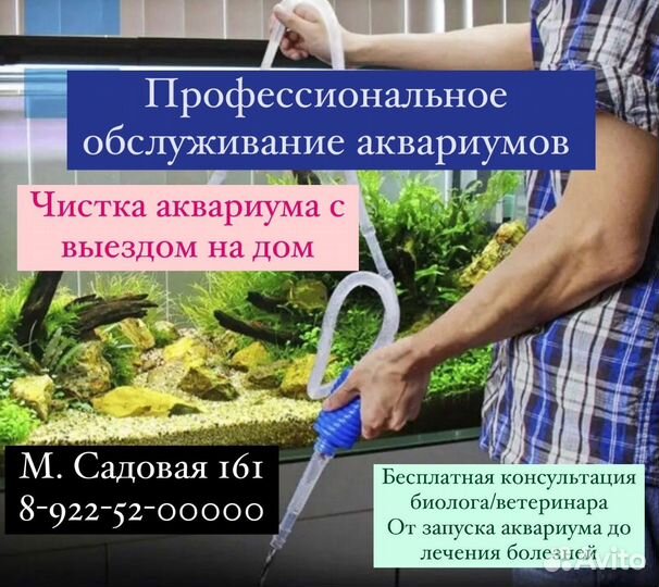 Профессиональное обслуживание аквариумов