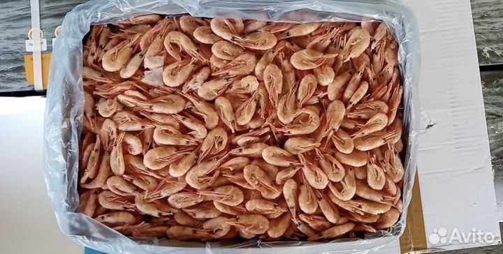 Креветка северная вкусная