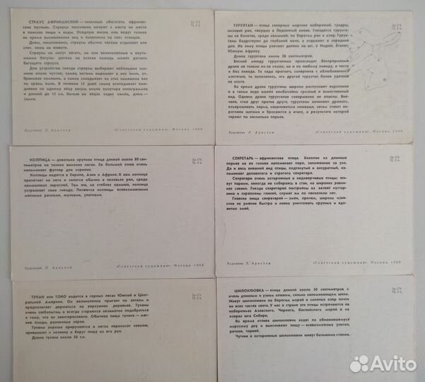 Набор открыток птицы СССР