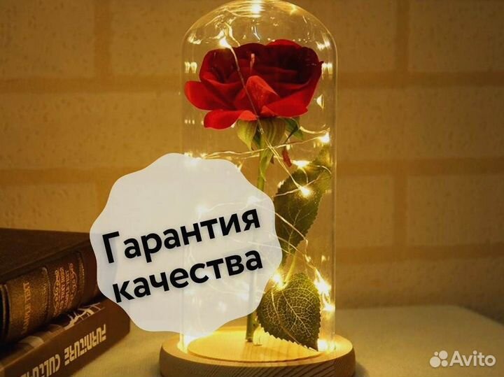 Роза в колбе. Вечная