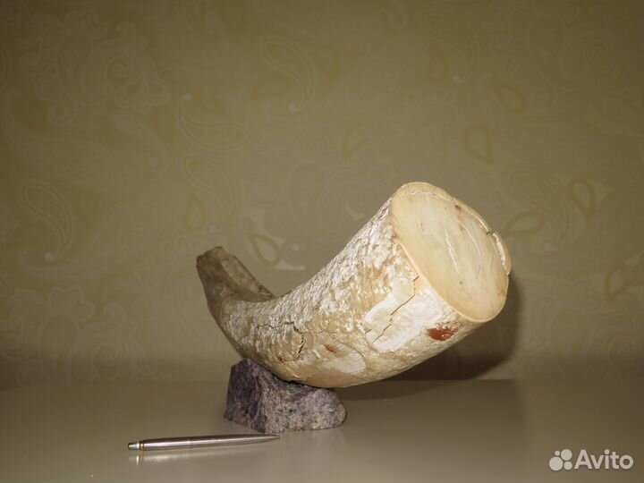 Бивень мамонта на подставке из чароита