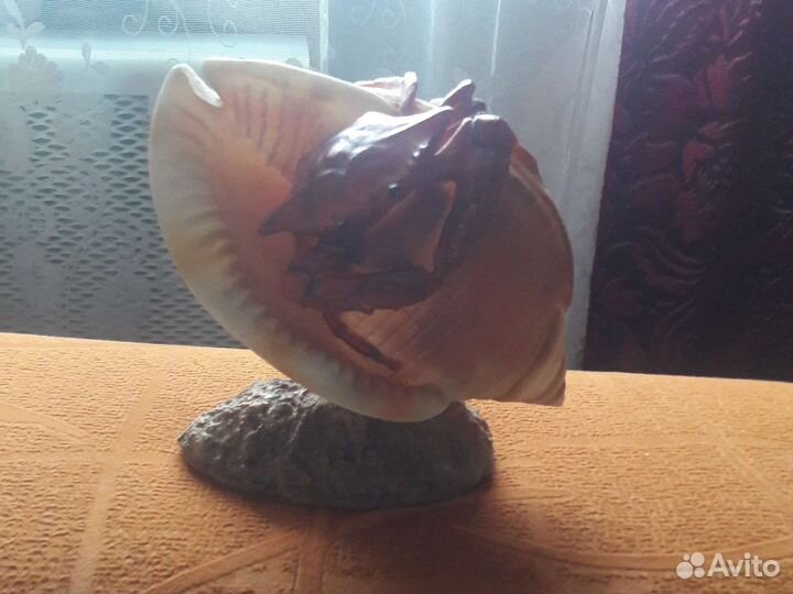 Ракушка статуэтка