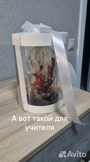 Цветы на день учителя стабилизированные