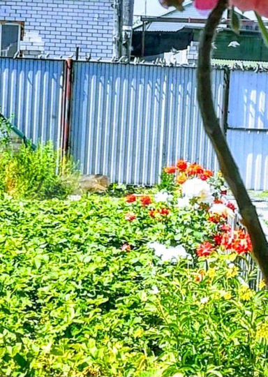 Дом 220 м² на участке 1,7 сот.