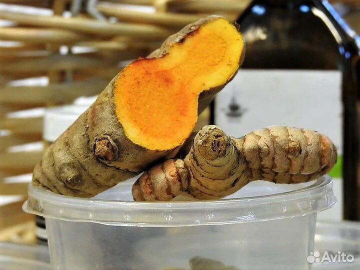 Корень куркумы