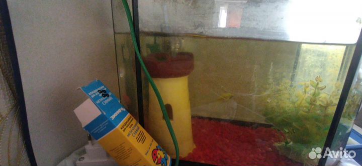 Аквариум