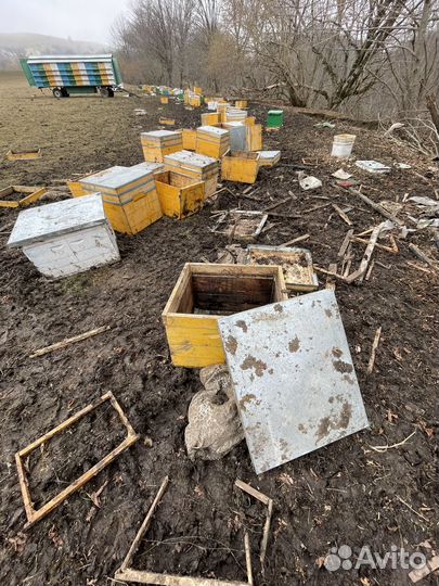 Рамки для ульев