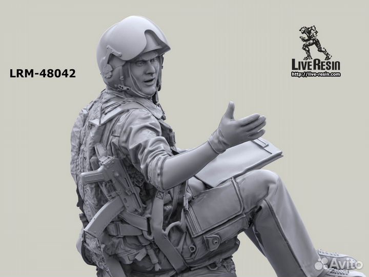 Миниатюра Live Resin LRM48042