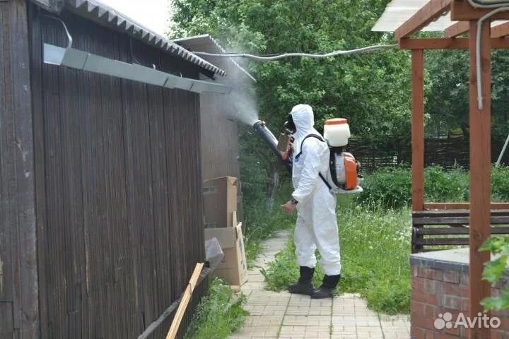 Обработка от насекомых тараканов клопов