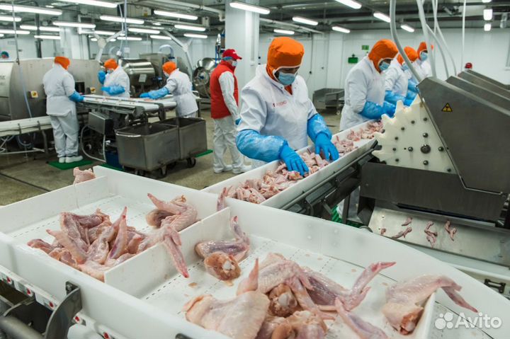 Работа на птицефабрике для всех возрастов Пермь