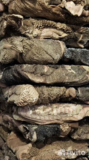 Рубец говяжий, легкое, субпродукты, обрезь, трахея