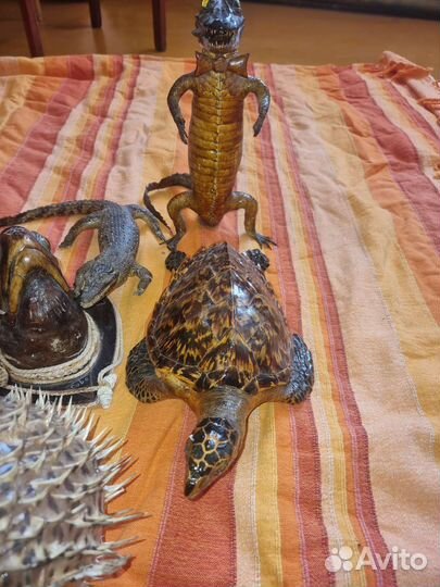 Чучело рыбы