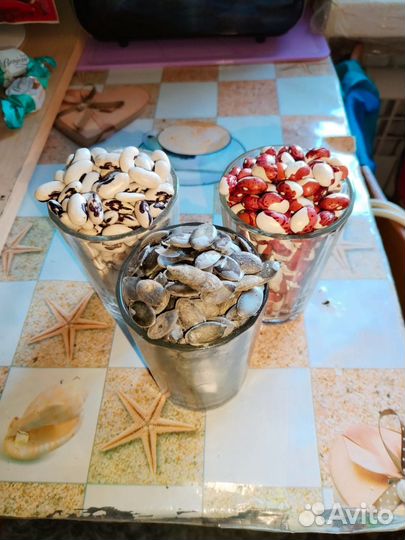 Фасоль, тыква-голосемянка