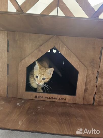 Барнхаус домик для кота или собаки