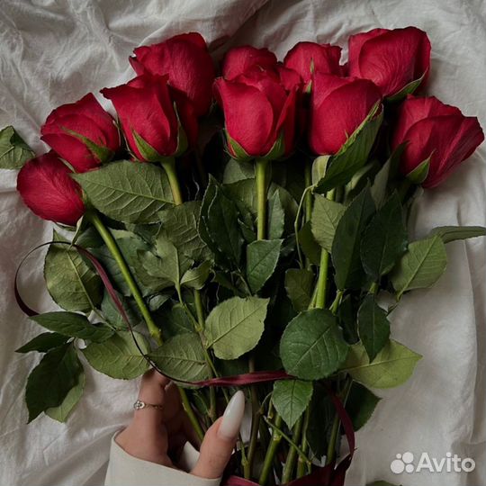 Розы 25, 35, 51, 101