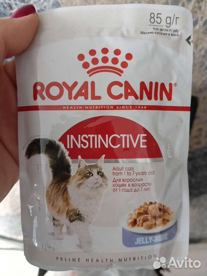 Влажный корм для кошек royal canin