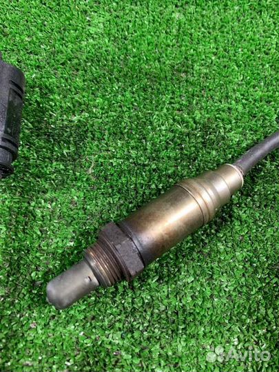 Датчик кислородный Bmw X5 E53 M54B30 2005