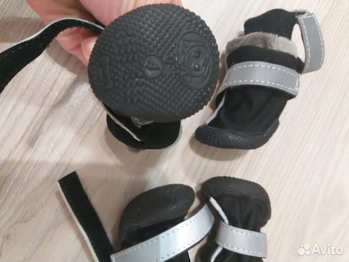 Сапоги для собак