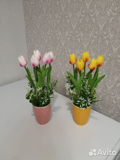 Цветы тюльпаны