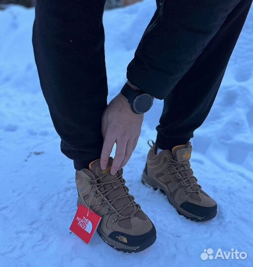 Кроссовки the north face