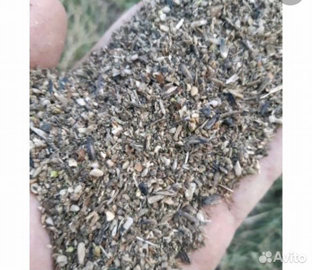 Зерно смесь