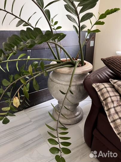 Вазон чистый мрамор