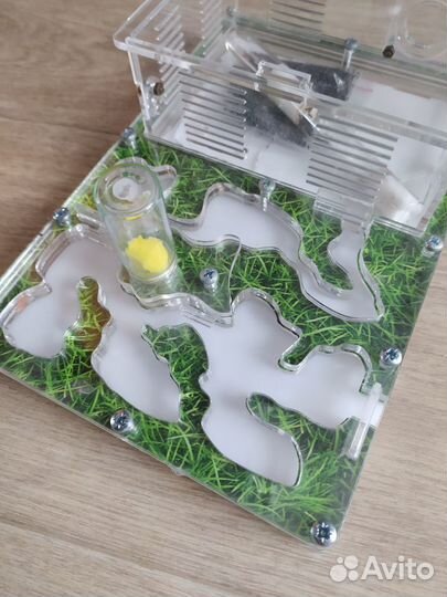 Муравьиная ферма (Формикарий) 24*16*6,5 см