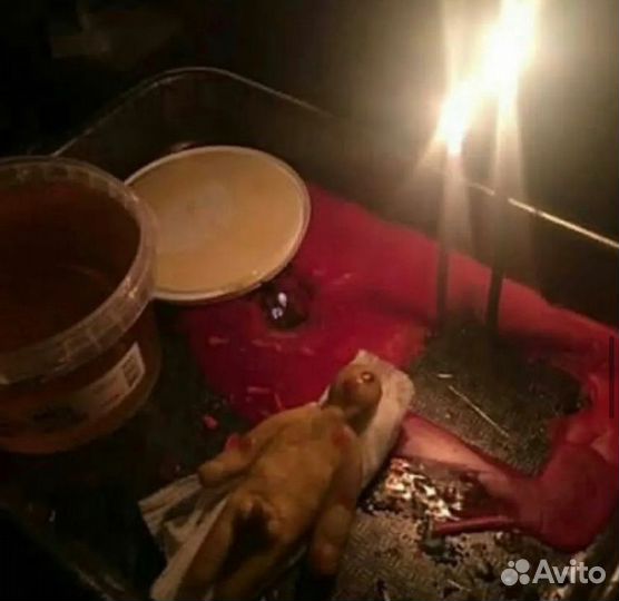 Гадание,приворот,обучение