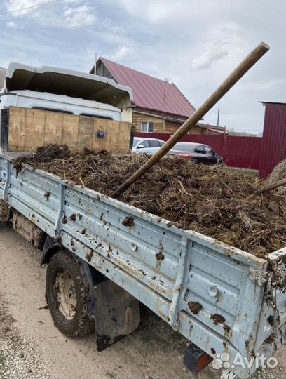 Свежий навоз