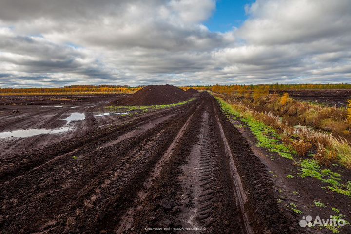 Торф верховой