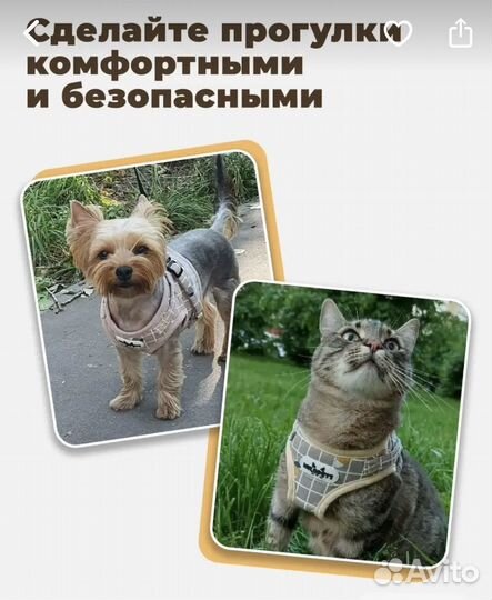 Шлейка для кошек и собак