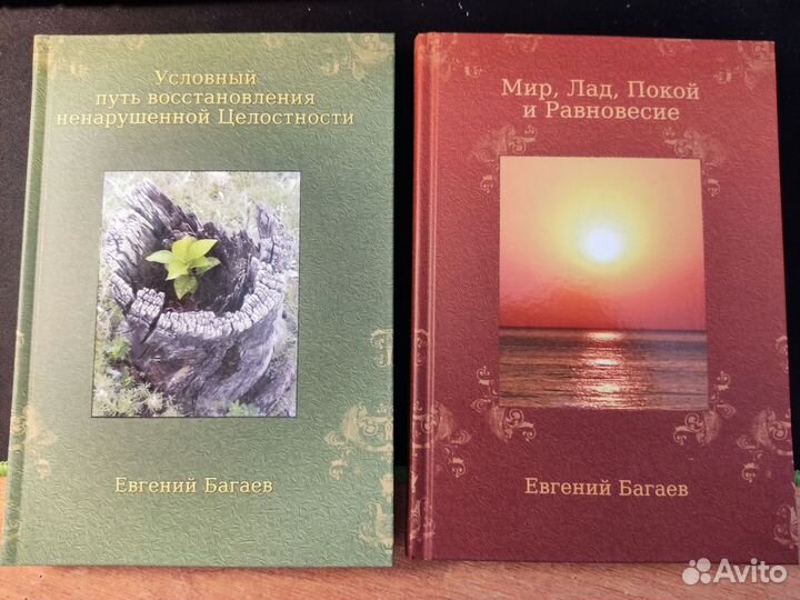 Евгений Багаев Новые книги