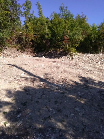 Участок 15 сот. (СНТ, ДНП)