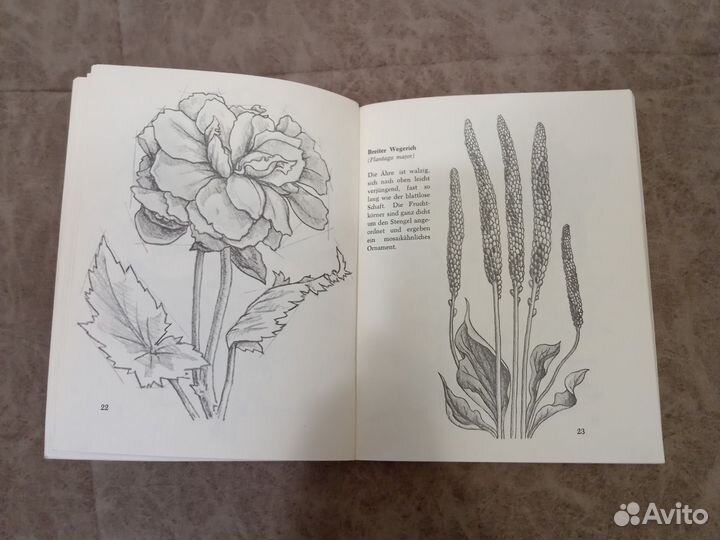 Книга для рисования цветов