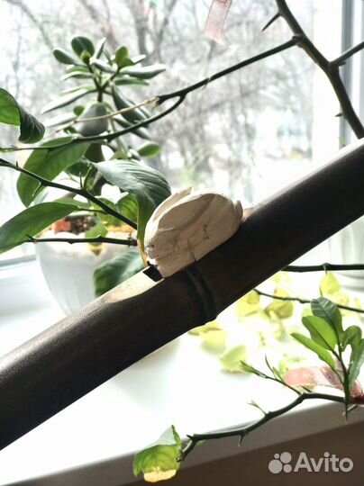 Пимак. Музыкальные инструменты духовые