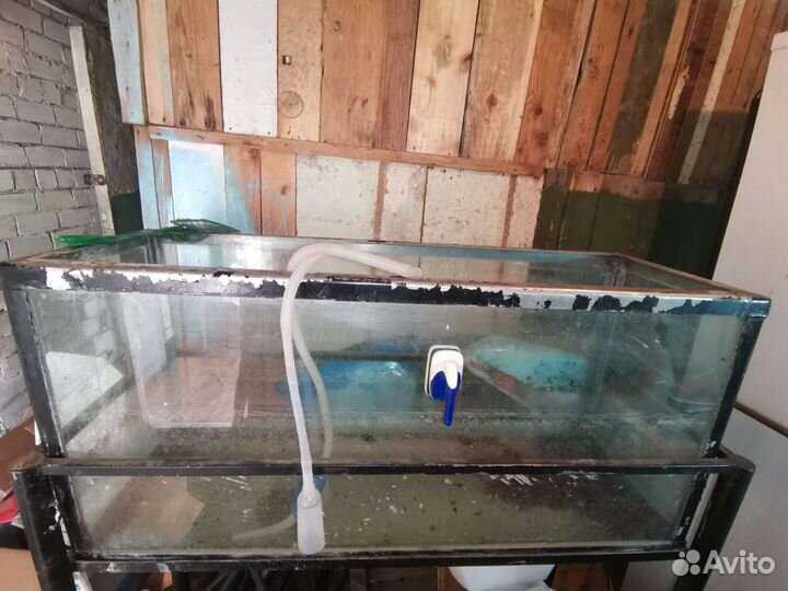 Аквариум на 250л