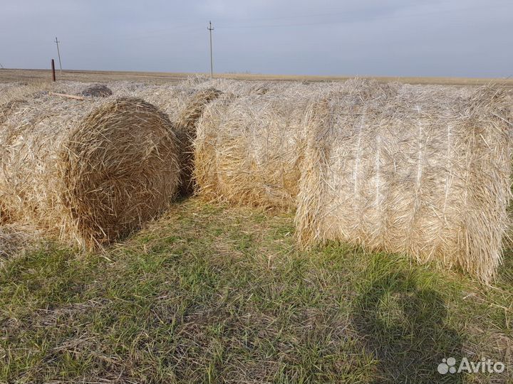Солома в тюках