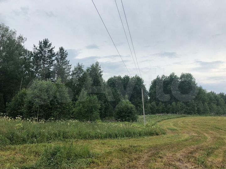 Участок 4 га (СНТ, ДНП)