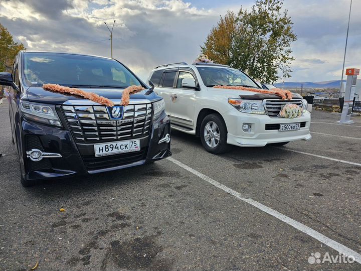 Прокат автомобиля с водителем, трансфер