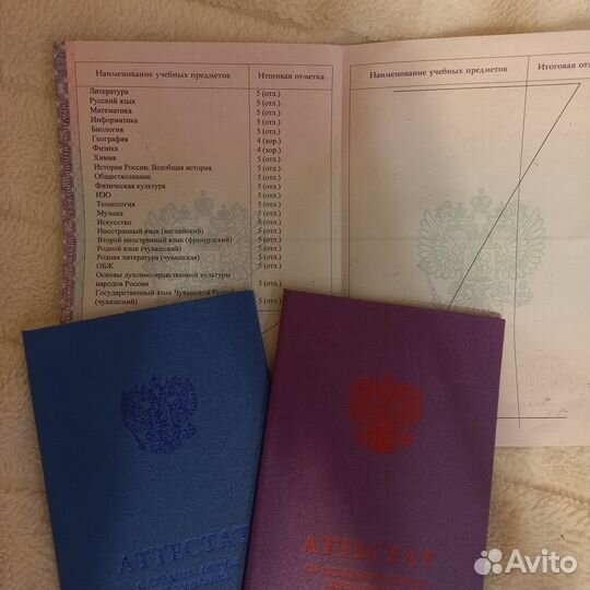 Репетитор по русскому языку