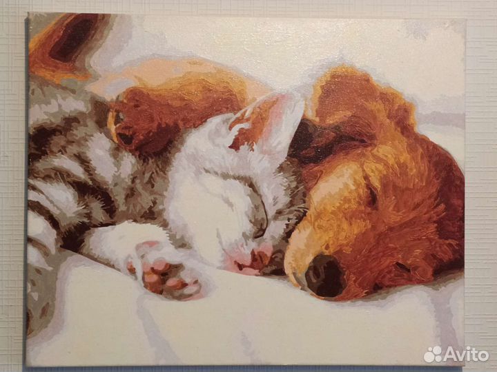 Картины по номерам раскрашенная