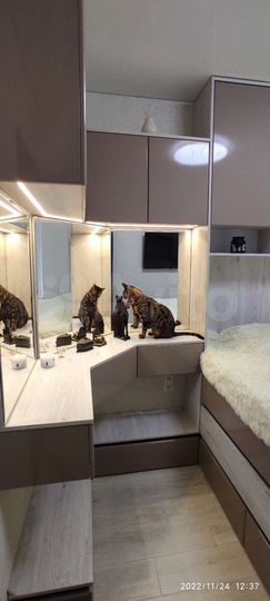 2-к. квартира, 56,8 м², 7/10 эт.