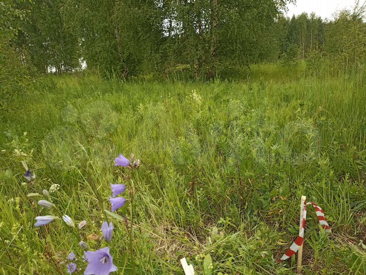 Участок 18,3 сот. (ИЖС)