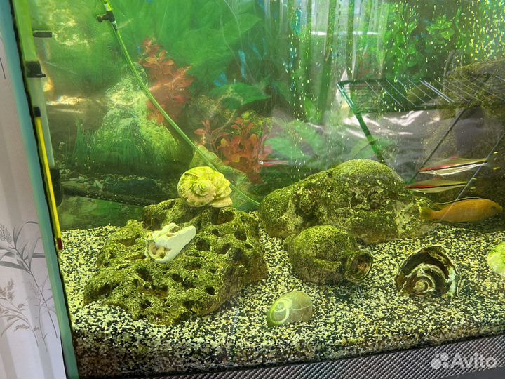 Аквариум с тумбой