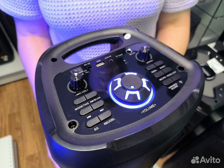 Портативная колонка eltronic 20-39