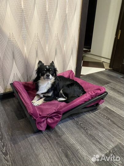 Лежанка для маленьких собак