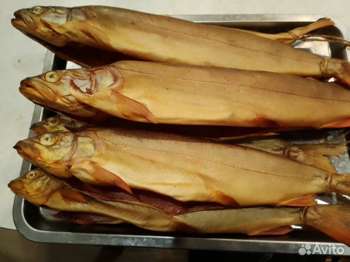 Рыба Ленок холодного копчения