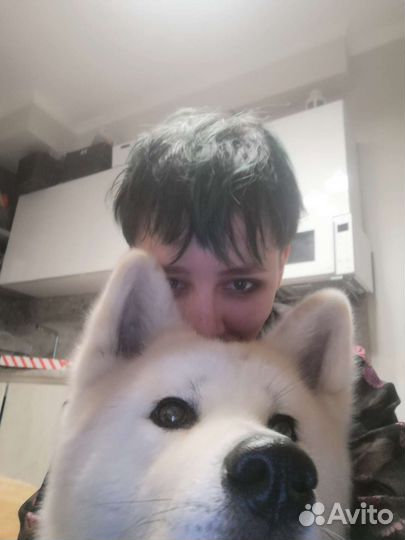 Передержка мелких животных